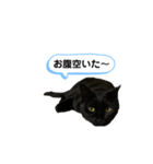 ニロスタンプ  習い事編（個別スタンプ：4）