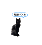 ニロスタンプ  習い事編（個別スタンプ：5）