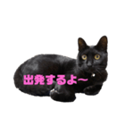 ニロスタンプ  習い事編（個別スタンプ：7）