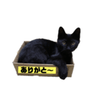 ニロスタンプ  習い事編（個別スタンプ：8）