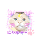 らいにゃんち（個別スタンプ：6）