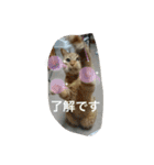 ❤️ちゃちゃまるスタンプ❤️（個別スタンプ：12）
