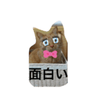 ❤️ちゃちゃまるスタンプ❤️（個別スタンプ：15）