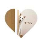 あむ姉さんのすたんぷ（個別スタンプ：3）