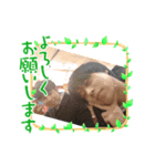 99年世代です。（個別スタンプ：4）
