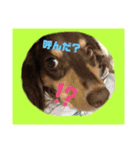 イケメンウィルくん♫（個別スタンプ：5）