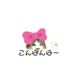 KUNIYACATsスタンプ（個別スタンプ：7）