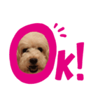 dog sticker！（個別スタンプ：1）
