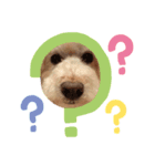 dog sticker！（個別スタンプ：2）