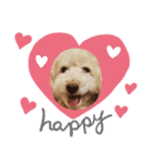 dog sticker！（個別スタンプ：4）