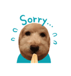 dog sticker！（個別スタンプ：5）