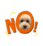 dog sticker！（個別スタンプ：7）