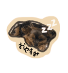 calmのスタンプꪔ̤̮（個別スタンプ：2）