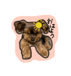 calmのスタンプꪔ̤̮（個別スタンプ：3）