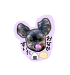 calmのスタンプꪔ̤̮（個別スタンプ：6）