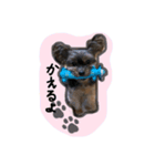 calmのスタンプꪔ̤̮（個別スタンプ：7）