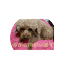 文子心の叫び（個別スタンプ：3）