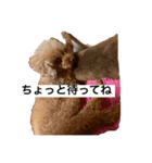 文子心の叫び（個別スタンプ：4）