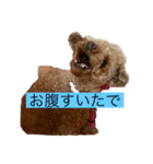 文子心の叫び（個別スタンプ：5）