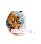 文子心の叫び（個別スタンプ：8）