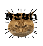 おかかとひじきの日常（個別スタンプ：2）