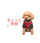 まいぺーすといぷー2（個別スタンプ：2）