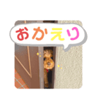 まいぺーすといぷー2（個別スタンプ：5）