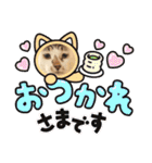 谷保ねこスタンプ第2弾（個別スタンプ：1）