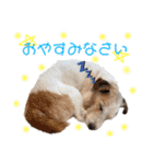 Yakkleのほのぼのスタンプ（個別スタンプ：3）