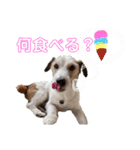 Yakkleのほのぼのスタンプ（個別スタンプ：5）