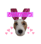Yakkleのほのぼのスタンプ（個別スタンプ：6）