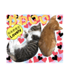 ねねこ猫ねこ(*ΦωΦ)（個別スタンプ：20）