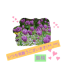 Igamachi-minagi（個別スタンプ：7）