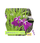 Igamachi-minagi（個別スタンプ：11）