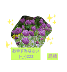 Igamachi-minagi（個別スタンプ：12）