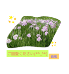 Igamachi-minagi（個別スタンプ：13）