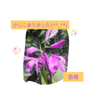 Igamachi-minagi（個別スタンプ：14）