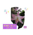 Igamachi-minagi（個別スタンプ：15）