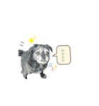 パプちゃんの日常2.（個別スタンプ：3）