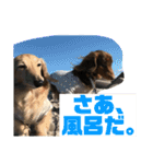 ハルと福之丞／日常会話（個別スタンプ：24）