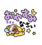 パピヨンのぴのちゃんスタンプ♡3（個別スタンプ：1）