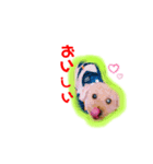 インディくん（個別スタンプ：3）