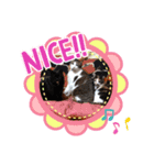にゃんこの日常パート5（個別スタンプ：4）