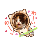 にゃんこの日常パート5（個別スタンプ：5）