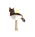 どんちゃんのご機嫌ナナメスタンプ（個別スタンプ：6）