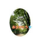 ハトさん♪（個別スタンプ：2）