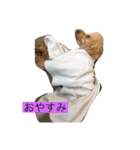 くぅスタンプ！（個別スタンプ：4）