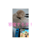 くぅスタンプ！（個別スタンプ：9）