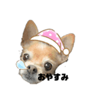 犬たまに猫（個別スタンプ：2）