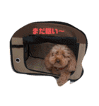 ここてゃんだよ〜（個別スタンプ：4）